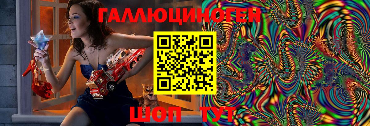 Псилоцибиновые грибы Psilocybe  где найти наркотики  Аша  Вход с VPN 
